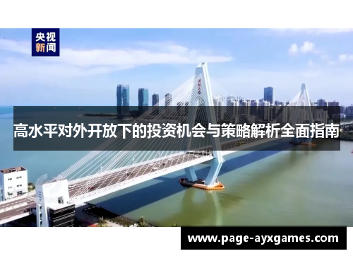 高水平对外开放下的投资机会与策略解析全面指南