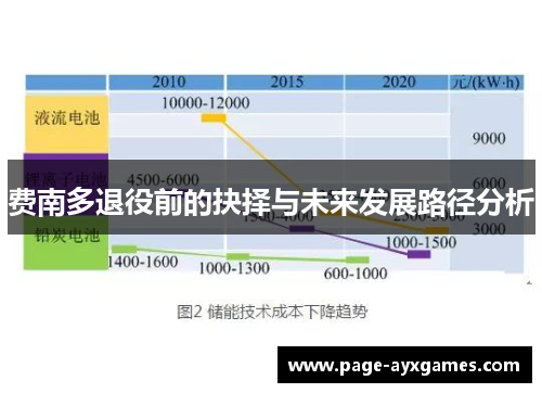 费南多退役前的抉择与未来发展路径分析