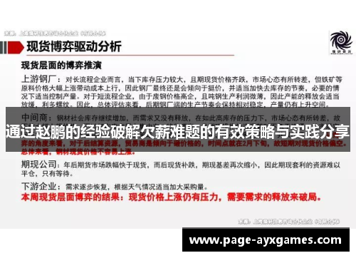 通过赵鹏的经验破解欠薪难题的有效策略与实践分享